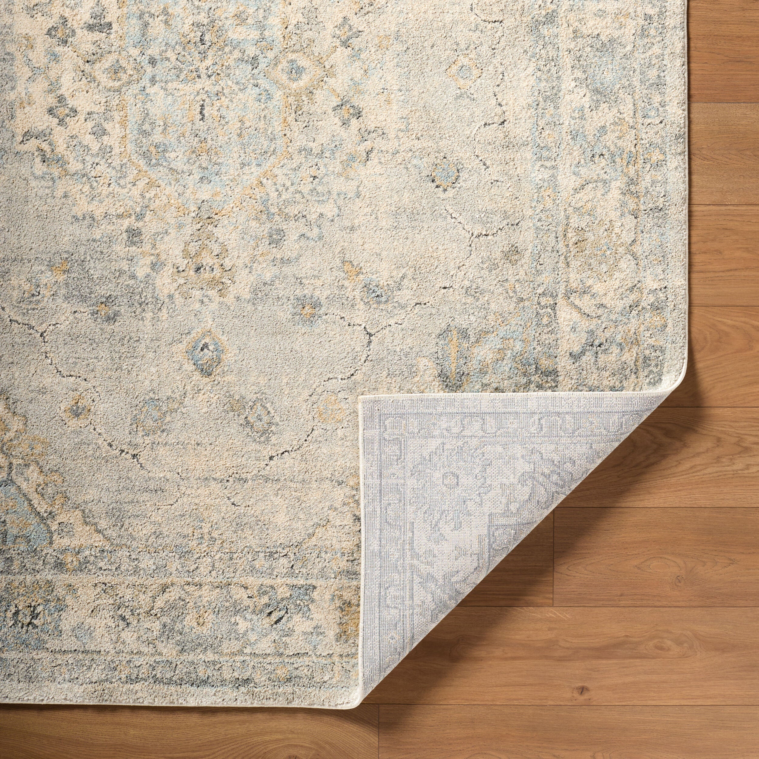 LIVABLISS Avellino AVL-2316 Light-Gray Area Rug