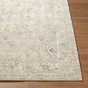 LIVABLISS Avellino AVL-2316 Light-Gray Area Rug
