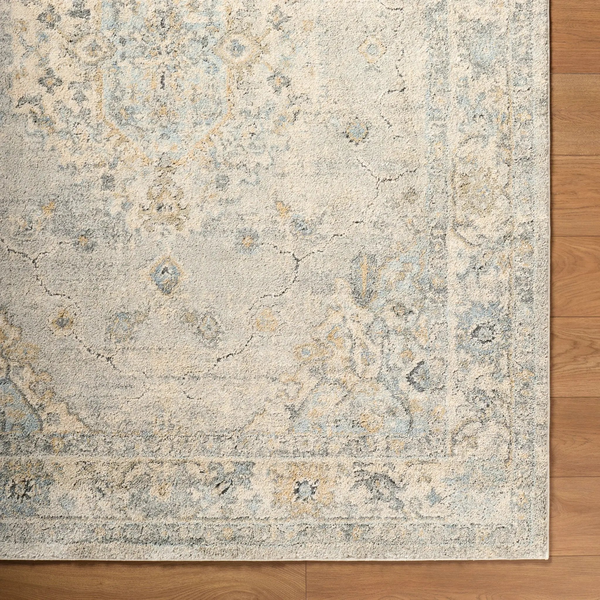 Avellino AVL-2316 Light-Gray Area Rug by LIVABLISS