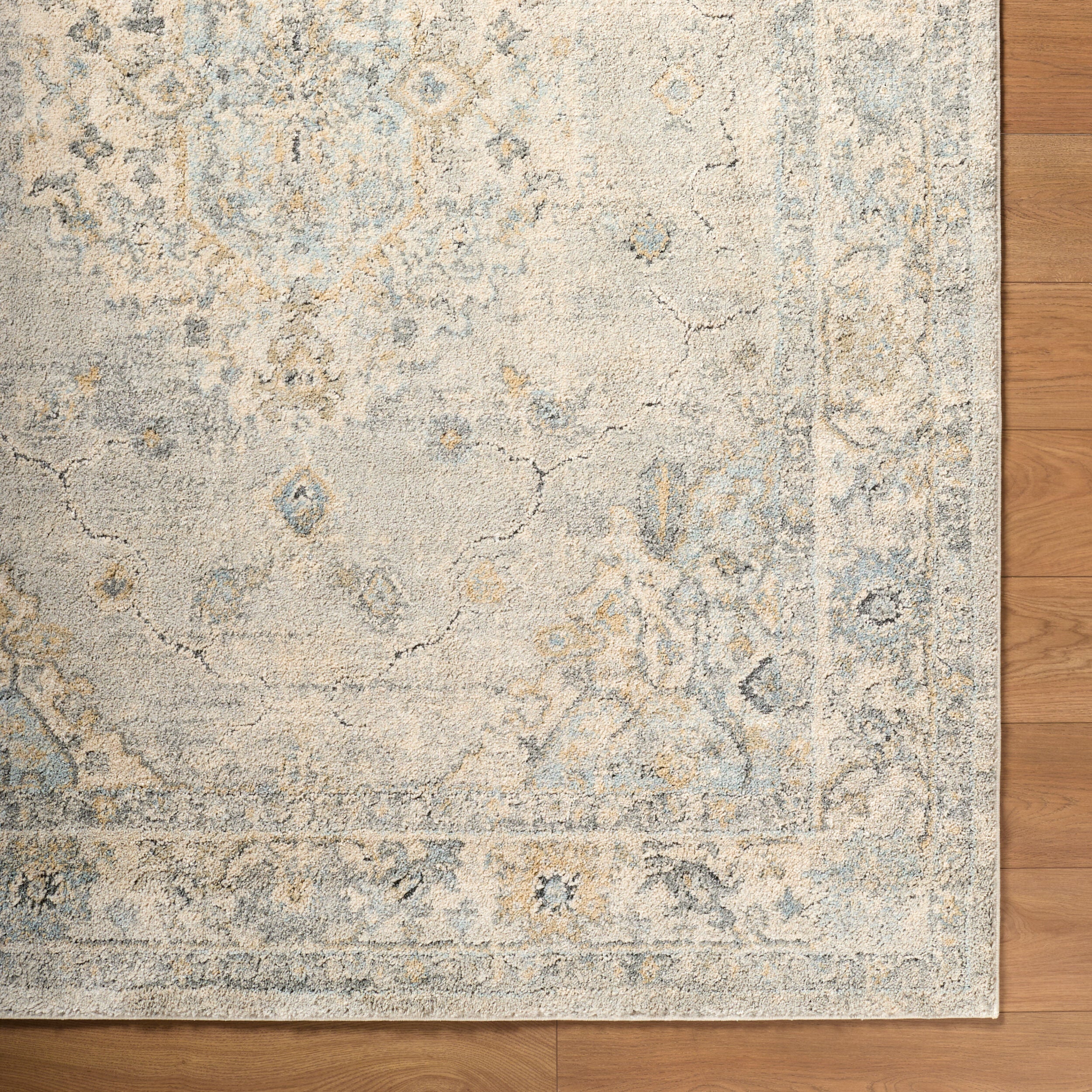 LIVABLISS Avellino AVL-2316 Light-Gray Area Rug