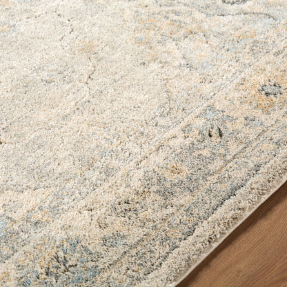 LIVABLISS Avellino AVL-2316 Light-Gray Area Rug