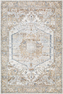 Surya Avellino AVL-2318 Light Beige Area Rug by LIVABLISS