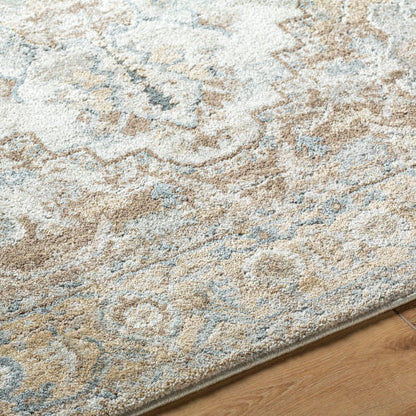 Surya Avellino AVL-2318 Light Beige Area Rug by LIVABLISS