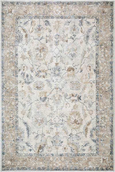Surya Avellino AVL-2319 Light Beige Area Rug by LIVABLISS