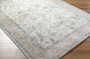 Surya Avellino AVL-2319 Light Beige Area Rug by LIVABLISS