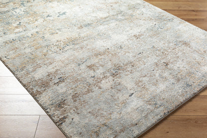 LIVABLISS Avellino AVL-2323 Light Gray Area Rug