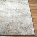 LIVABLISS Avellino AVL-2323 Light Gray Area Rug