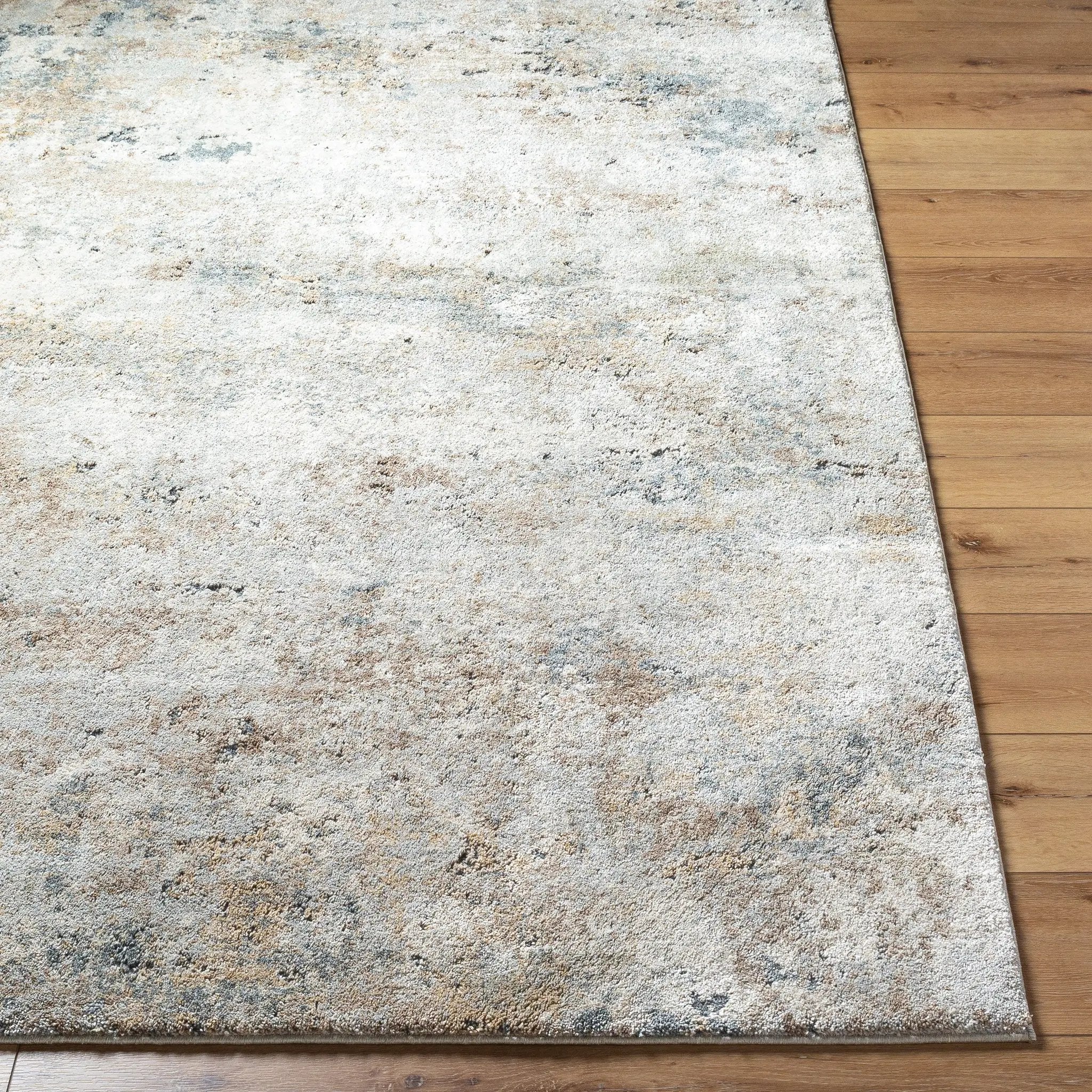 Avellino AVL-2323 Light-Gray Area Rug by LIVABLISS
