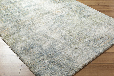 Surya Avellino AVL-2328 Light Beige Area Rug by LIVABLISS