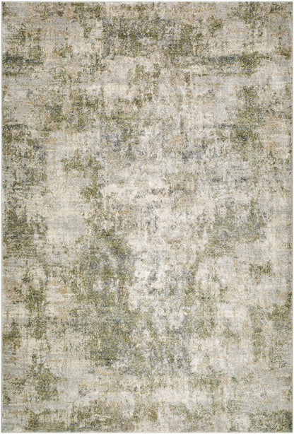 Surya Avellino AVL-2336 Light Gray Area Rug by LIVABLISS 