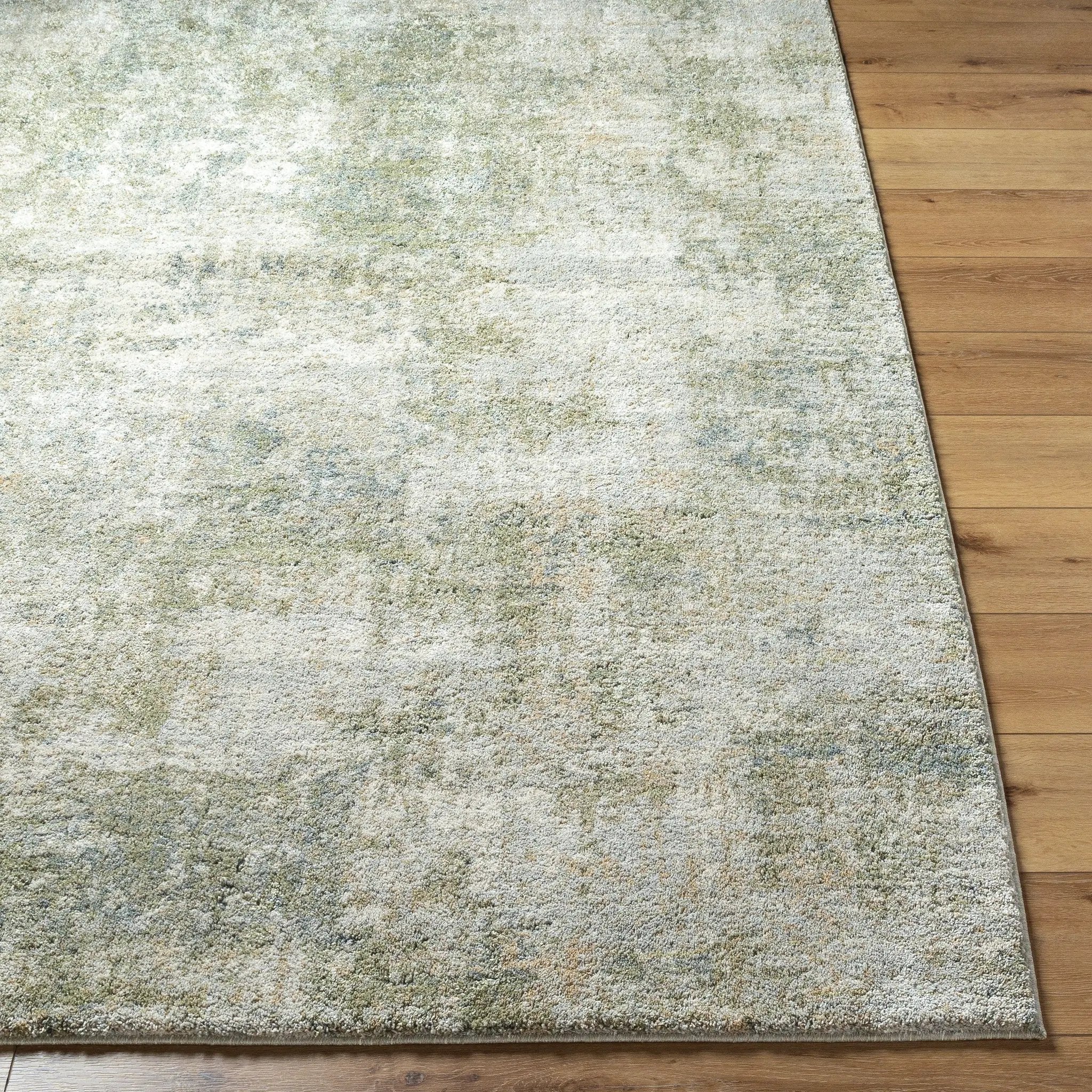 Surya Avellino AVL-2336 Light Gray Area Rug by LIVABLISS 