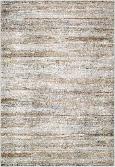 Surya Avellino AVL-2337 Light Gray Area Rug by LIVABLISS 