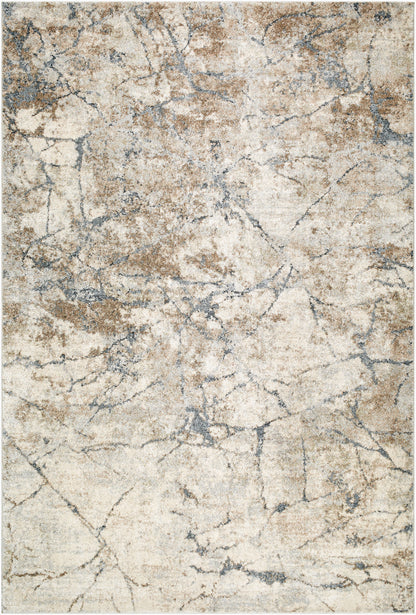 Surya Avellino AVL-2339 Light Beige Area Rug by LIVABLISS 