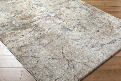 Surya Avellino AVL-2339 Light Beige Area Rug by LIVABLISS 
