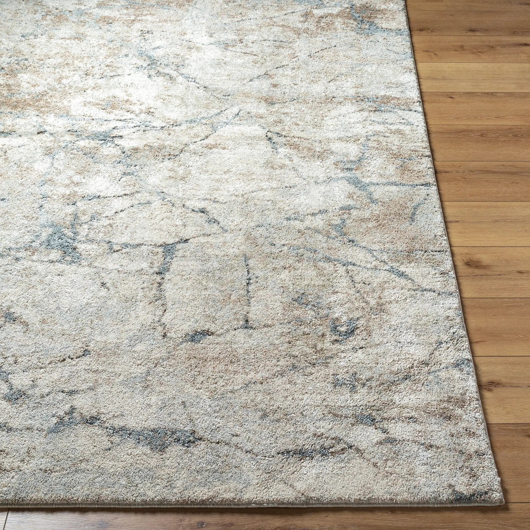 Avellino AVL-2339 Light-Beige Area Rug by LIVABLISS