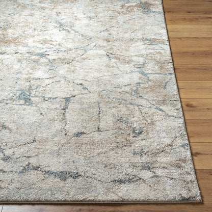 Surya Avellino AVL-2339 Light Beige Area Rug by LIVABLISS 