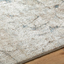 Surya Avellino AVL-2339 Light Beige Area Rug by LIVABLISS 