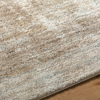 Surya Avellino AVL-2340 Light Beige Area Rug by LIVABLISS 