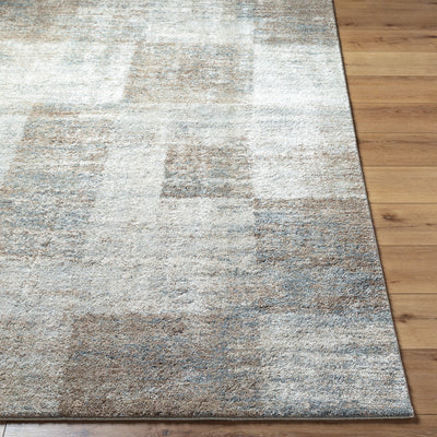 Surya Avellino AVL-2342 Light Beige Area Rug by LIVABLISS 