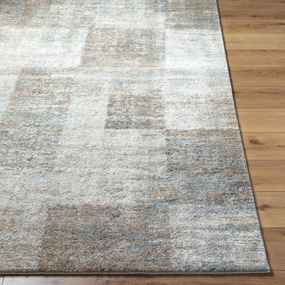 Surya Avellino AVL-2342 Light Beige Area Rug by LIVABLISS 
