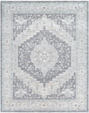 Avant Garde AVT-2300 Blue Area Rug