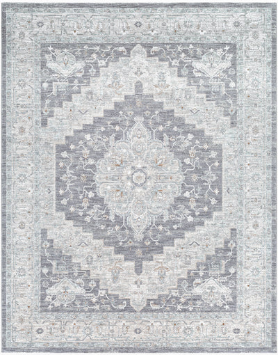 Avant Garde AVT-2300 Blue Area Rug