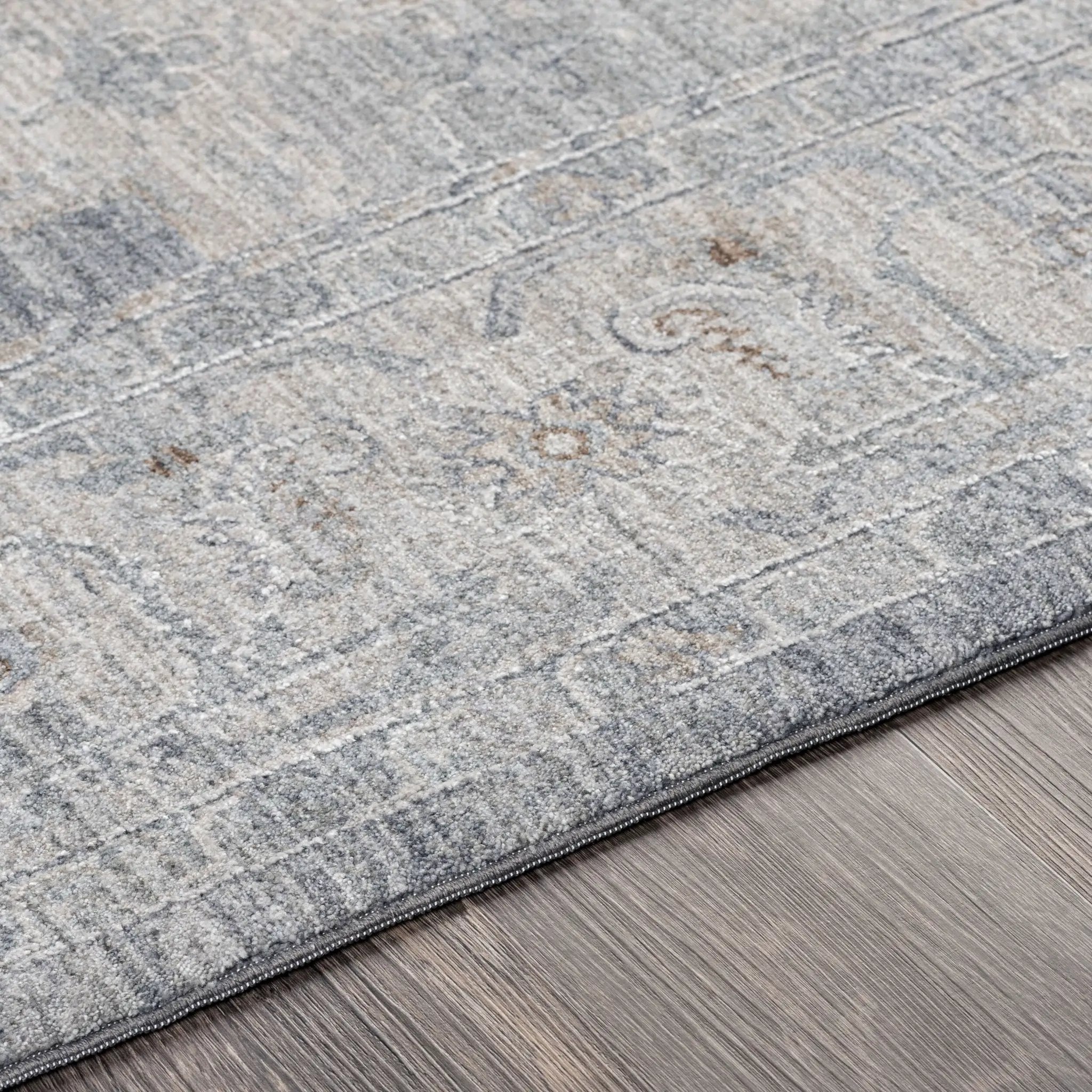 Avant Garde AVT-2300 Blue Area Rug by LIVABLISS