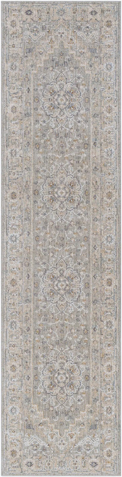 Avant Garde AVT-2301 Gray Area Rug by LIVABLISS
