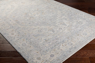 Avant Garde AVT-2301 Gray Area Rug by LIVABLISS