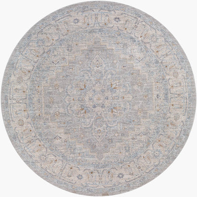 Avant Garde AVT-2301 Gray Area Rug by LIVABLISS