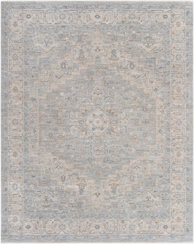 Avant Garde AVT-2301 Gray Area Rug by LIVABLISS
