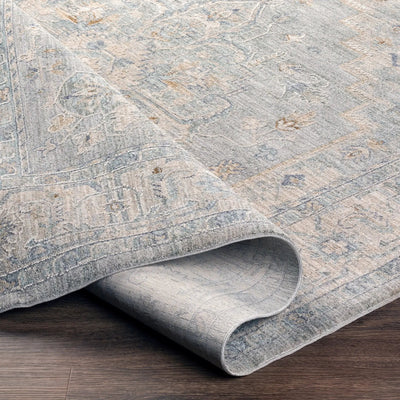 Avant Garde AVT-2301 Gray Area Rug by LIVABLISS