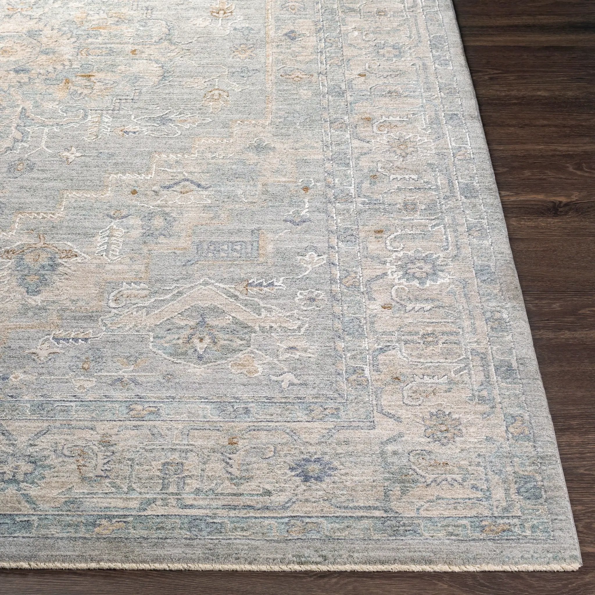 Avant Garde AVT-2301 Gray Area Rug by LIVABLISS