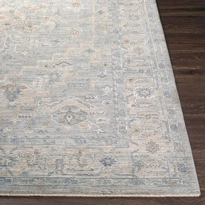 Avant Garde AVT-2301 Gray Area Rug by LIVABLISS