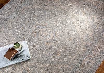 Avant Garde AVT-2301 Gray Area Rug by LIVABLISS