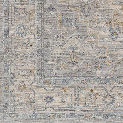 Avant Garde AVT-2301 Gray Area Rug by LIVABLISS