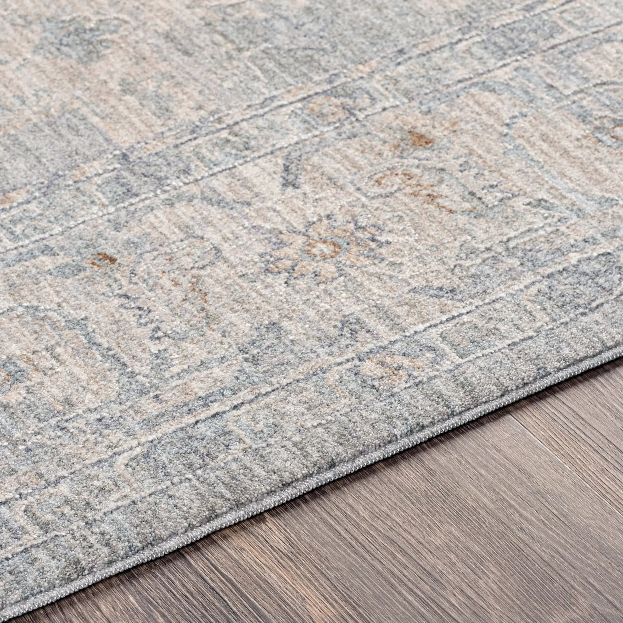 Avant Garde AVT-2301 Gray Area Rug by LIVABLISS