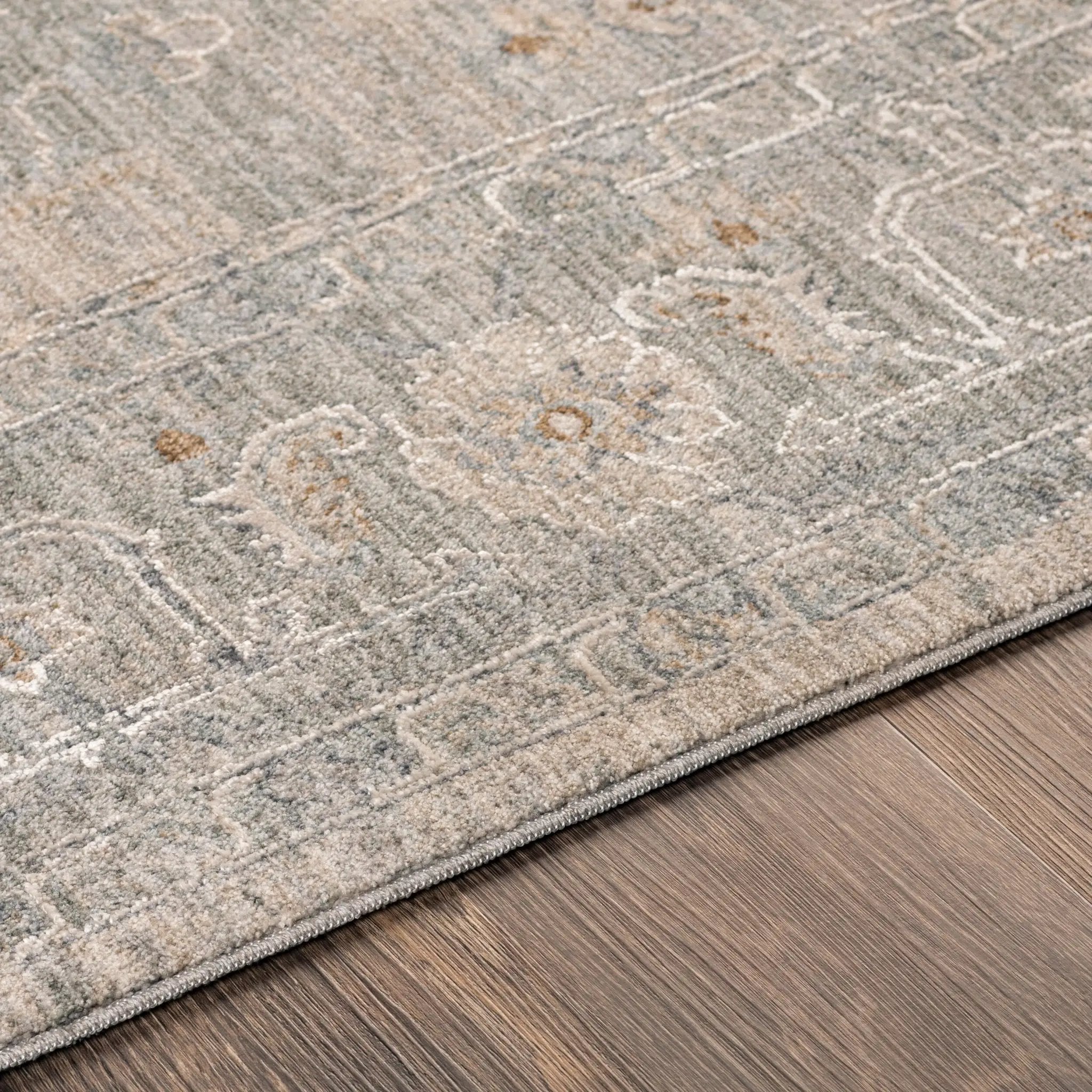 Avant Garde AVT-2302 Gray Area Rug by LIVABLISS