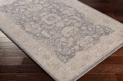 LIVABLISS Avant Garde AVT-2303 Gray Area Rug