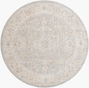 LIVABLISS Avant Garde AVT-2304 Gray Area Rug