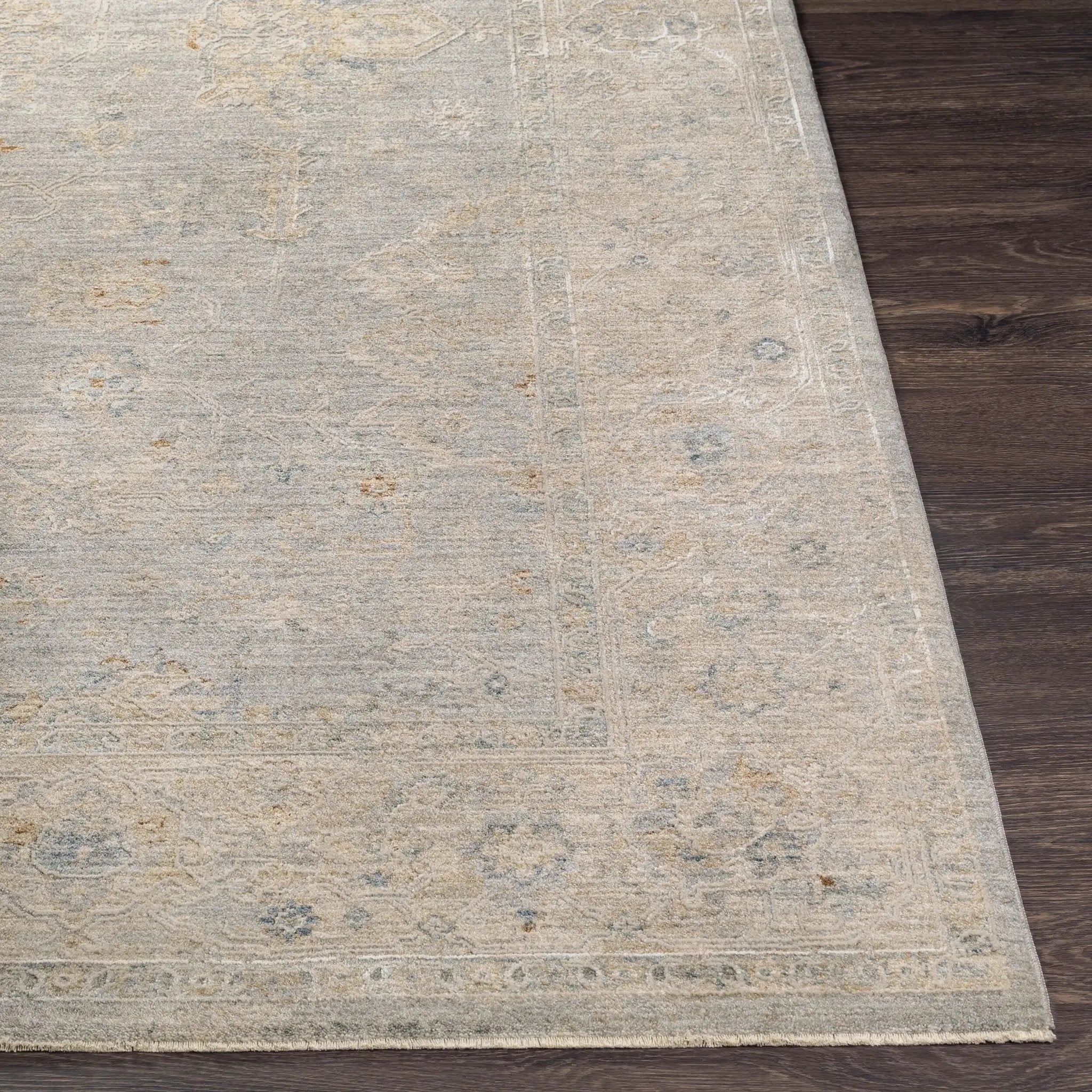 Avant Garde AVT-2304 Gray Area Rug by LIVABLISS