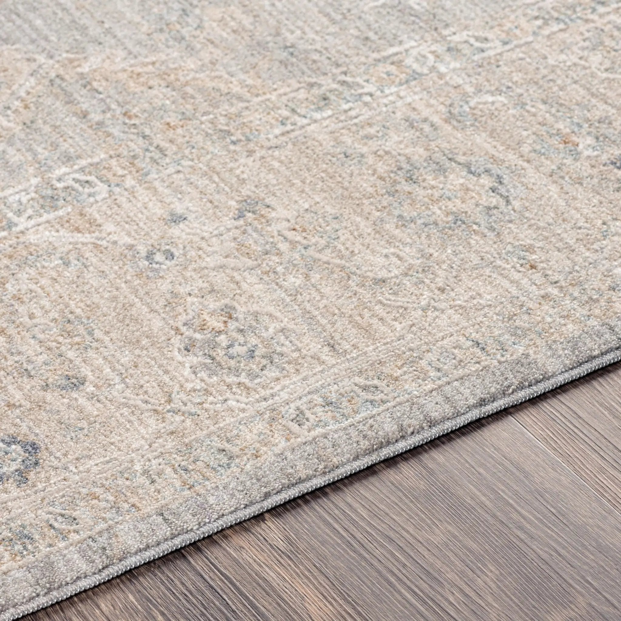 Avant Garde AVT-2304 Gray Area Rug by LIVABLISS