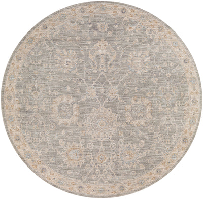 Avant Garde AVT-2305 Gray Area Rug by LIVABLISS