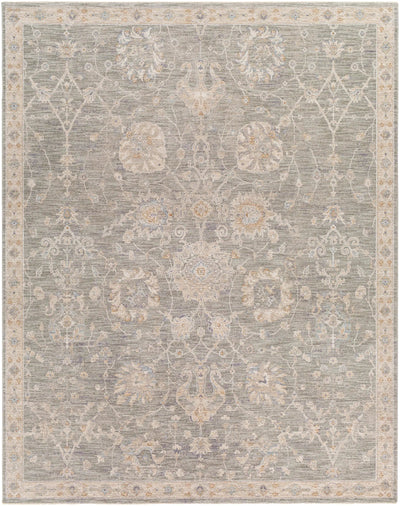 Avant Garde AVT-2305 Gray Area Rug by LIVABLISS