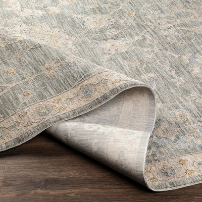 Avant Garde AVT-2305 Gray Area Rug by LIVABLISS
