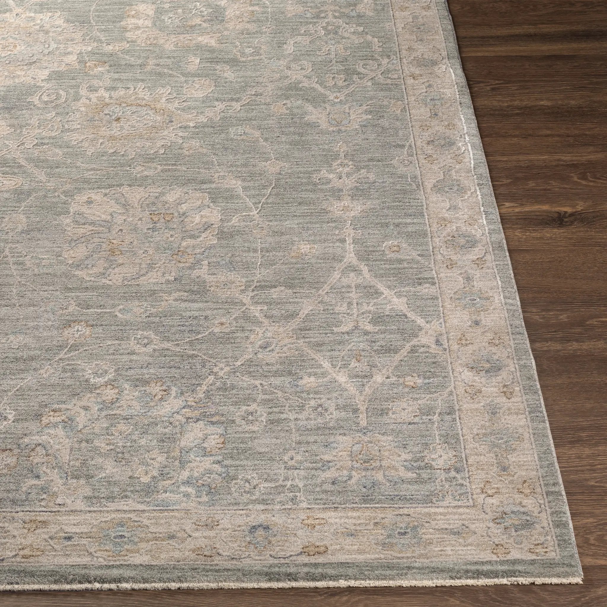 Avant Garde AVT-2305 Gray Area Rug by LIVABLISS