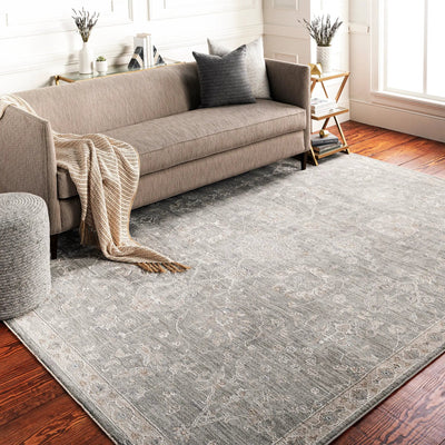 Avant Garde AVT-2305 Gray Area Rug by LIVABLISS