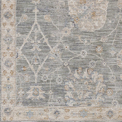 Avant Garde AVT-2305 Gray Area Rug by LIVABLISS