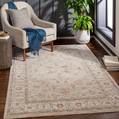 LIVABLISS Avant Garde AVT-2314 Light-Brown Area Rug