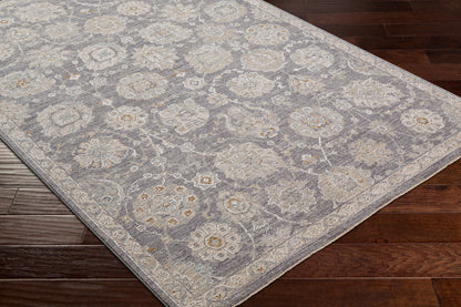 LIVABLISS Avant Garde AVT-2336 Denim Area Rug